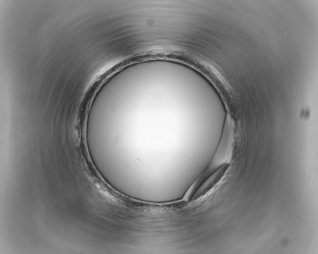 X0000093751018200711131120