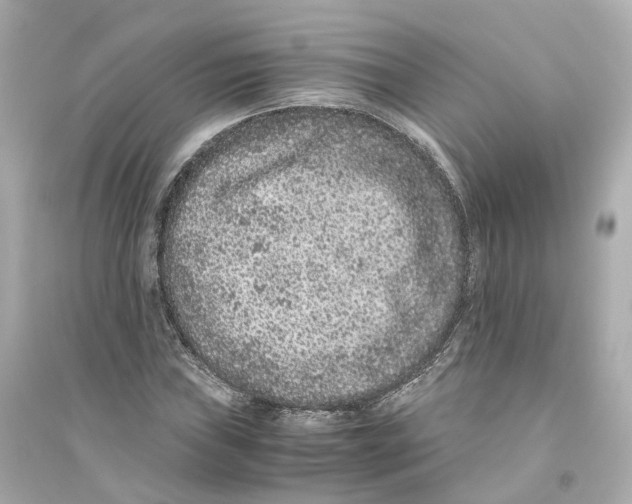 X0000093751019200711131120