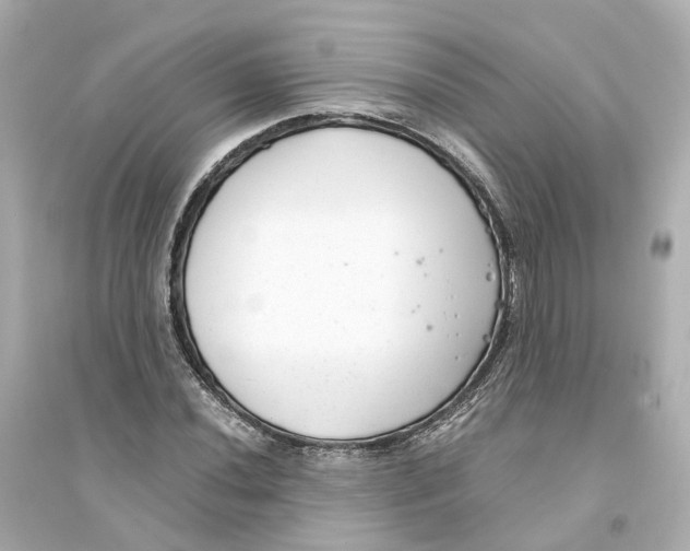 X0000093751020200711131120