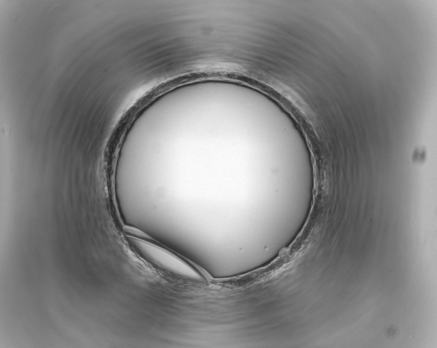 X0000093751022200711131120