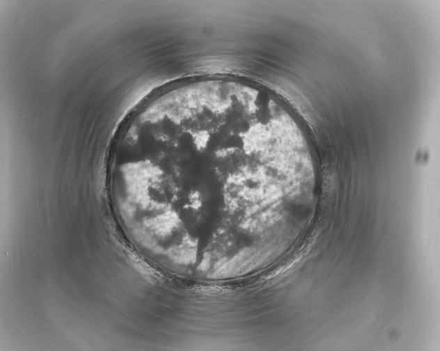 X0000093751023200711131120