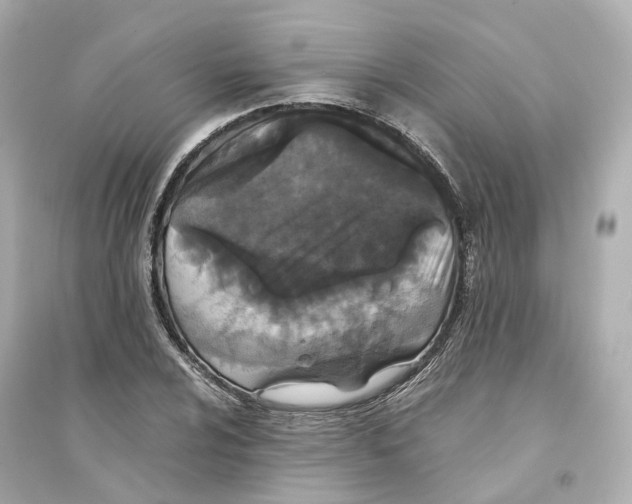 X0000093751024200711131120