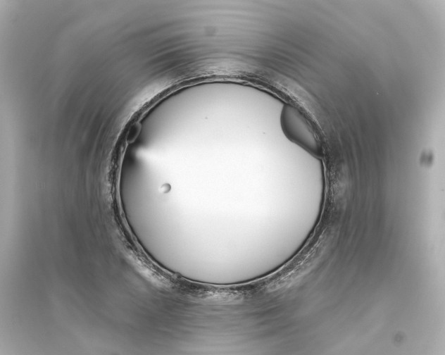 X0000093751026200711131120