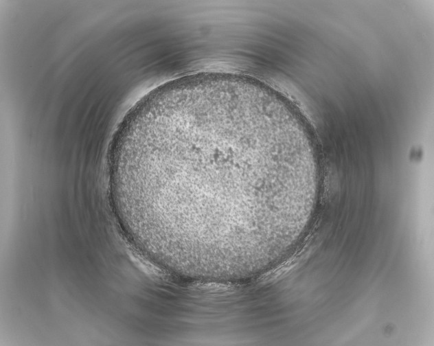 X0000093751027200711131120