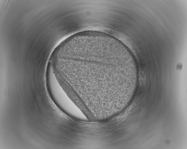 X0000093751028200711131120