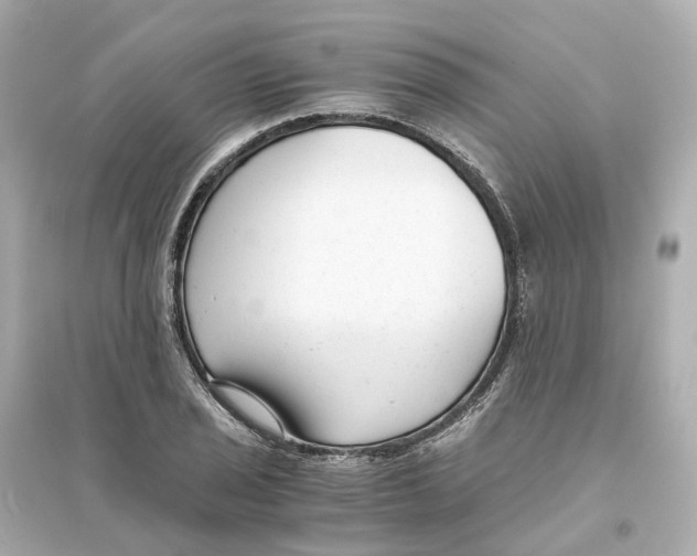 X0000093751029200711131120