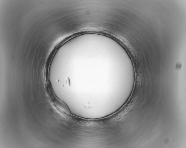 X0000093751030200711131120