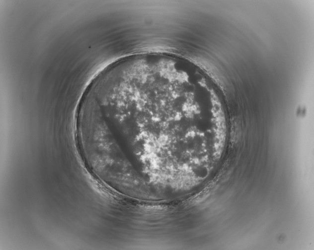 X0000093751031200711131120