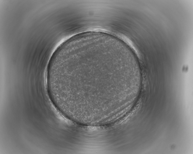 X0000093751032200711131120