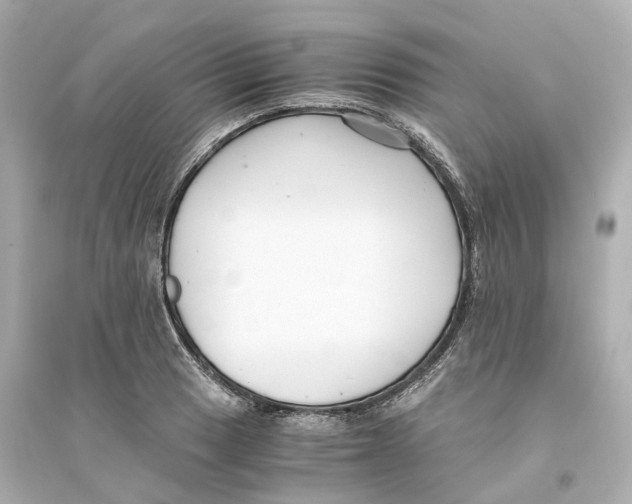 X0000093751033200711131120