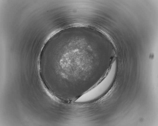 X0000093751034200711131120