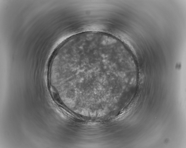 X0000093751035200711131120