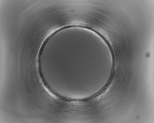 X0000093751037200711131120