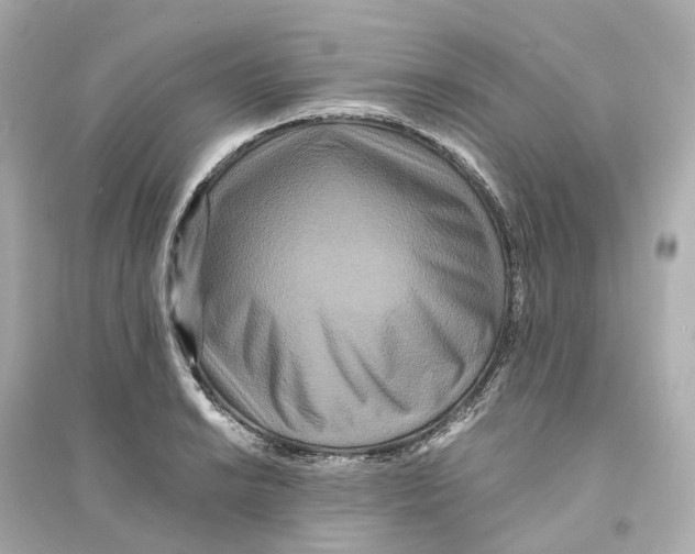 X0000093751038200711131120