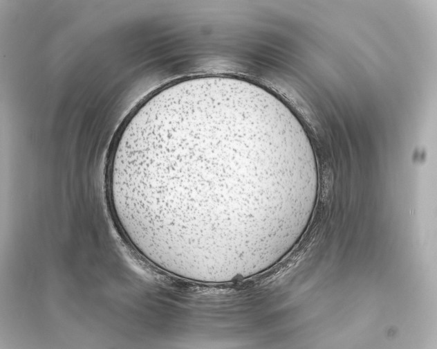 X0000093751039200711131120