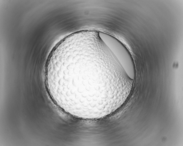 X0000093751040200711131120