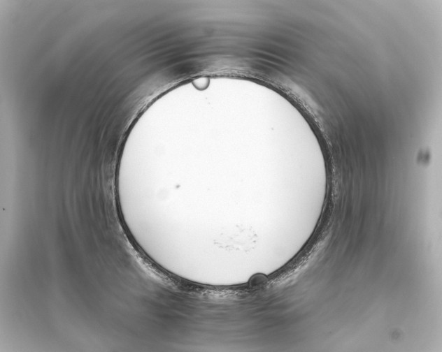 X0000093751041200711131120