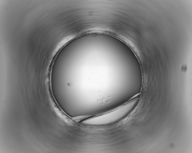 X0000093751042200711131120