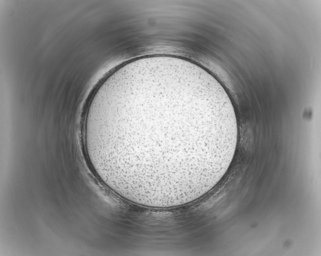 X0000093751043200711131120