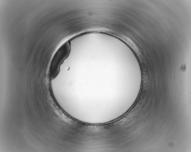 X0000093751044200711131120