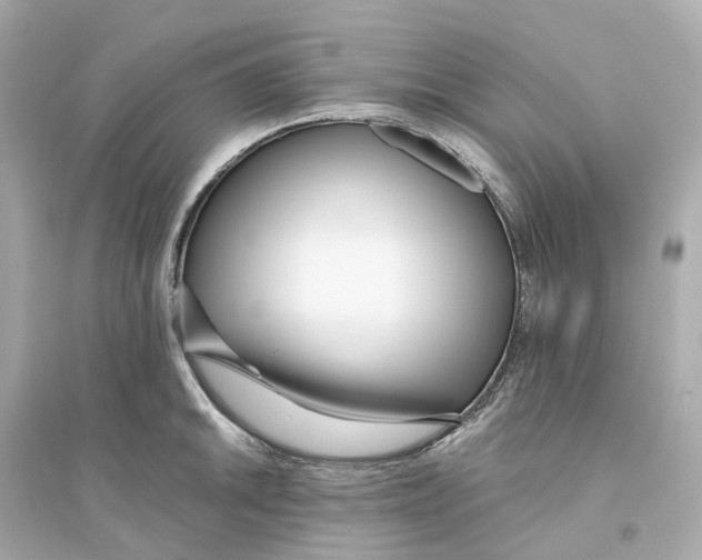 X0000093751046200711131120