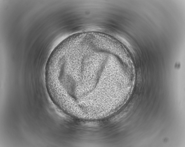 X0000093751047200711131120