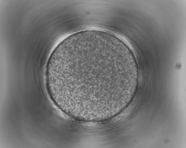 X0000093751048200711131120