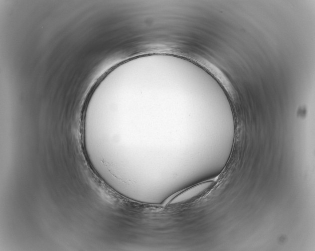 X0000093751051200711131120