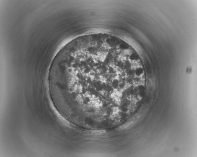 X0000093751055200711131121