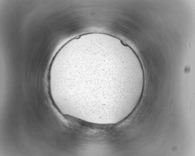 X0000093751056200711131121