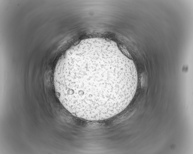 X0000093751059200711131120