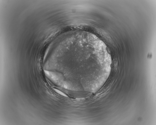 X0000093751060200711131120