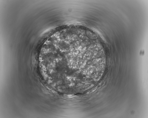 X0000093751063200711131120