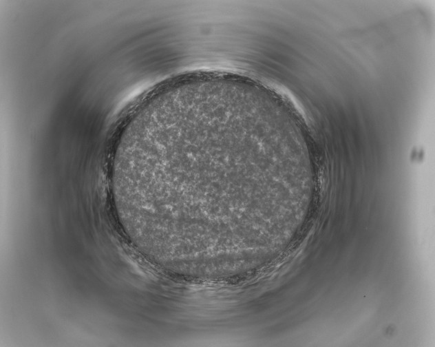 X0000093751064200711131120