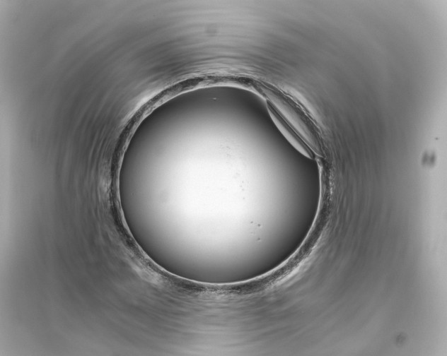 X0000093751065200711131120