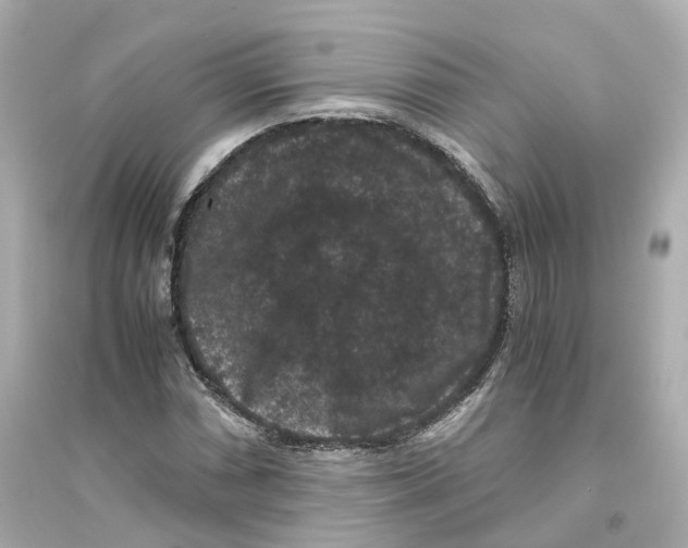 X0000093751066200711131120