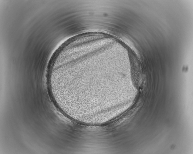 X0000093751068200711131120