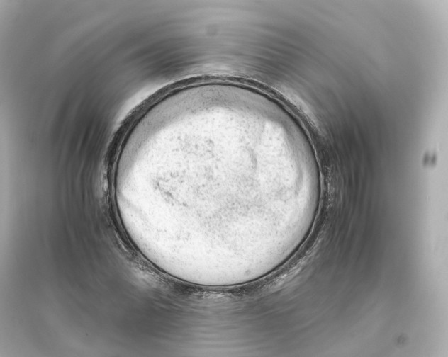 X0000093751070200711131120