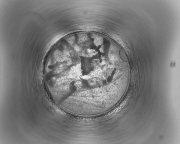 X0000093751071200711131120