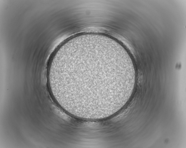 X0000093751075200711131119