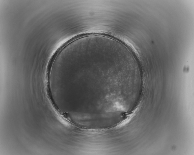 X0000093751077200711131119