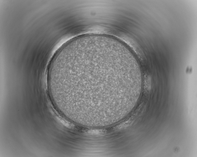 X0000093751078200711131119