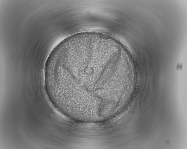 X0000093751079200711131119