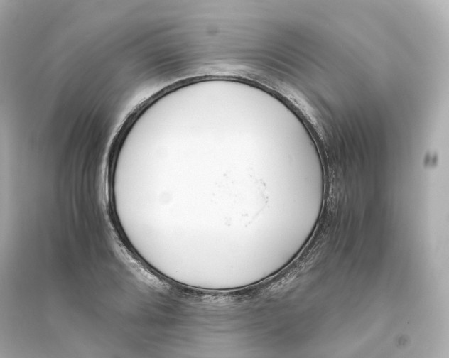 X0000093751080200711131119