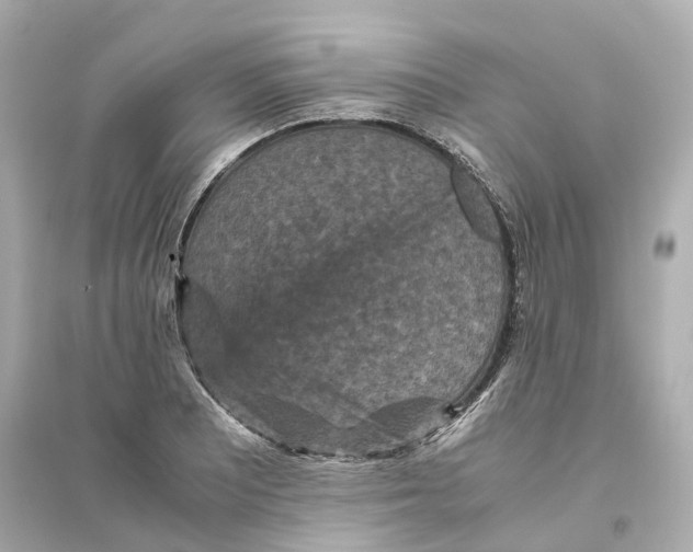 X0000093751081200711131119