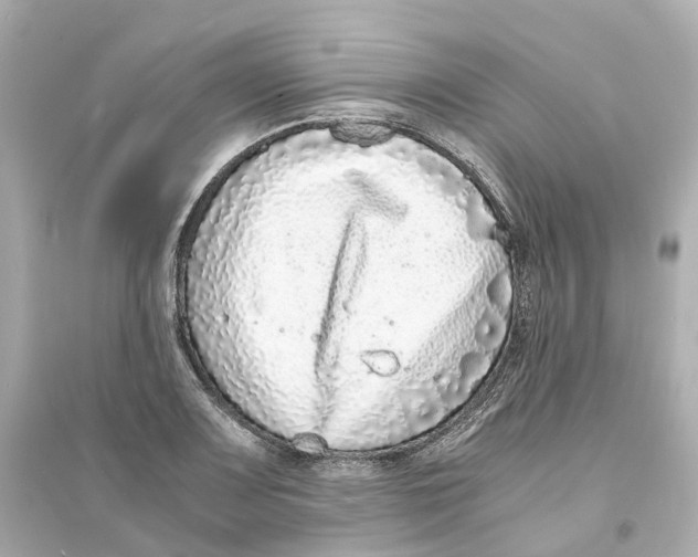 X0000093751083200711131119