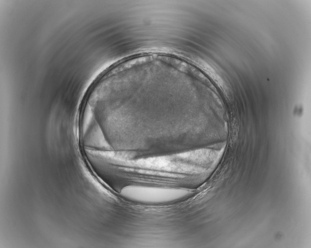 X0000093751084200711131119