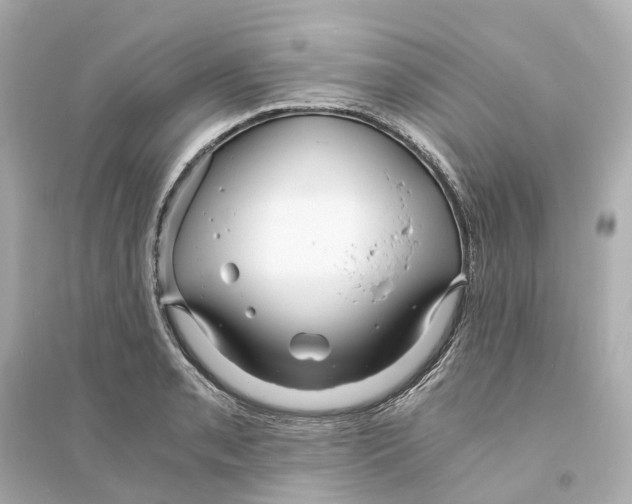 X0000093751085200711131119