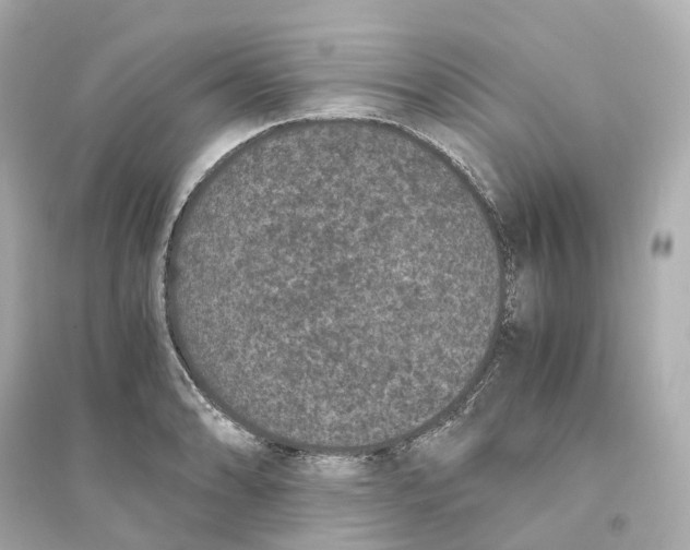 X0000093751086200711131119