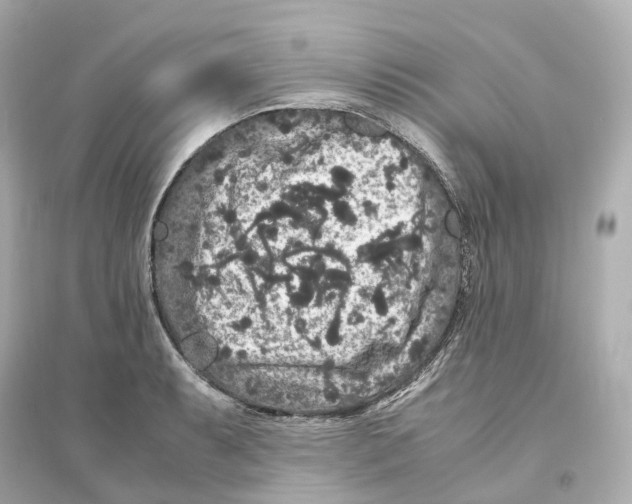 X0000093751087200711131119